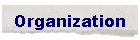 Organization