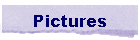 Pictures